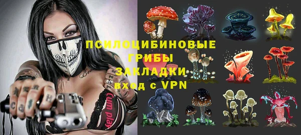 mix Алексин