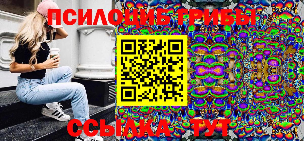 Псилоцибиновые грибы Cubensis Кореновск