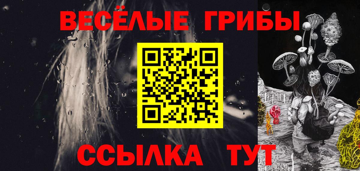 Галлюциногенные грибы GOLDEN TEACHER  Вход с VPN  Кореновск 